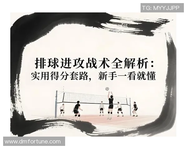 武汉排球队快攻战术解析与实战应用全方位解读