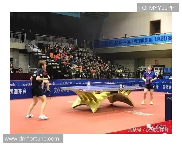 武汉乒乓球队配合策略分析与实战应用探讨