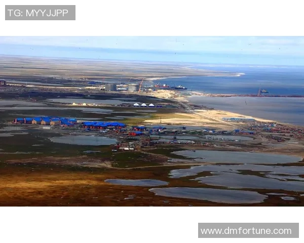 亚马尔地区的能源战略与全球气候变化的互动关系研究