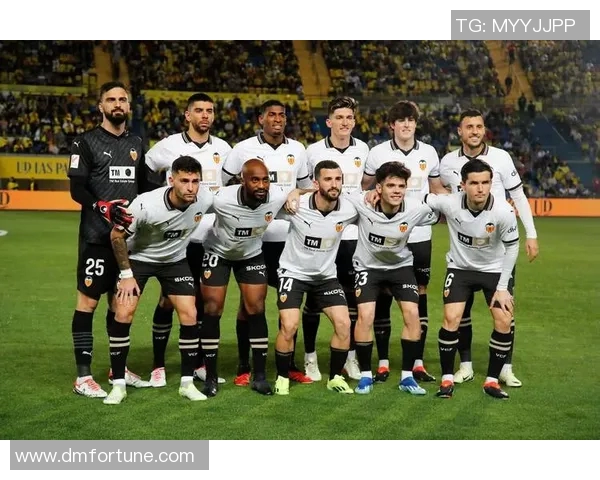 图尔库与瓦萨的激烈对决揭示芬兰足球的魅力与竞争力 图尔库与瓦萨的激烈对决揭示芬兰足球的魅力与竞争力