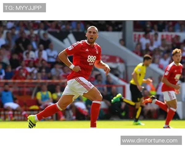 女王巡游与西布朗直播精彩对决全程回顾与分析