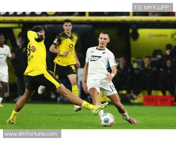 多特蒙德与霍芬海姆激战在即球迷期待精彩对决与进球盛宴