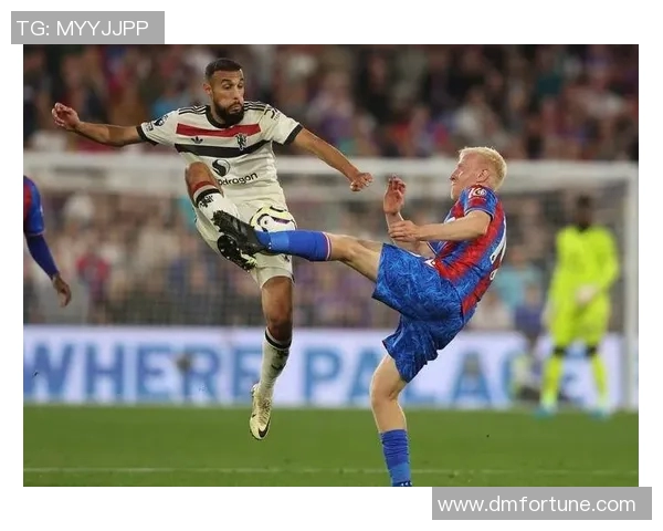 水晶宫与布莱的激烈对决谁能在英超赛场上笑到最后 水晶宫与布莱的激烈对决谁能在英超赛场上笑到最后