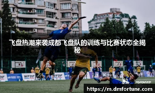 中欧体育平台