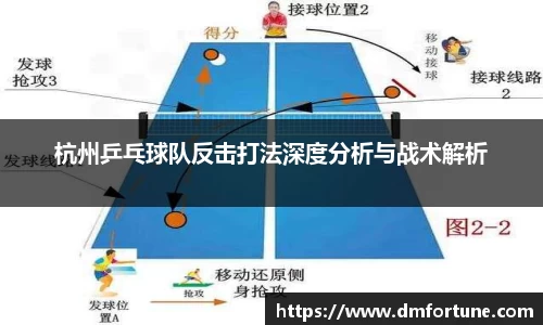 zoty中欧