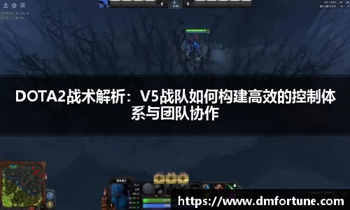 中欧体育平台