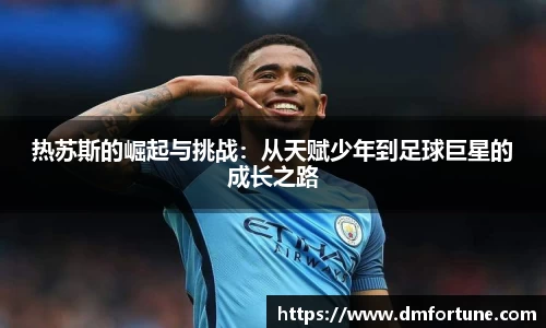 中欧体育平台